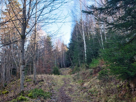 20220205202148-efaa19ac